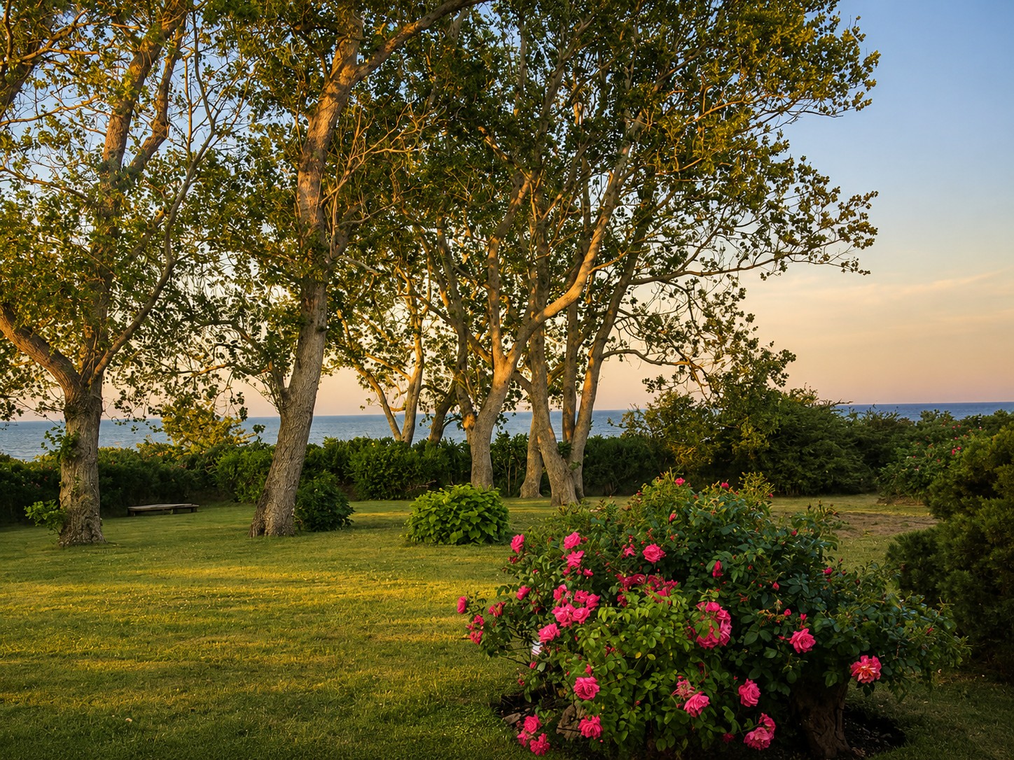 Gartenblick von der Terrasse